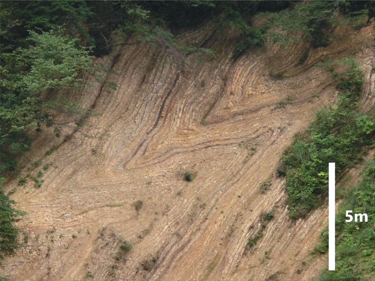 日本の地質構造100選にも選ばれている宮沢林道の大褶曲露頭