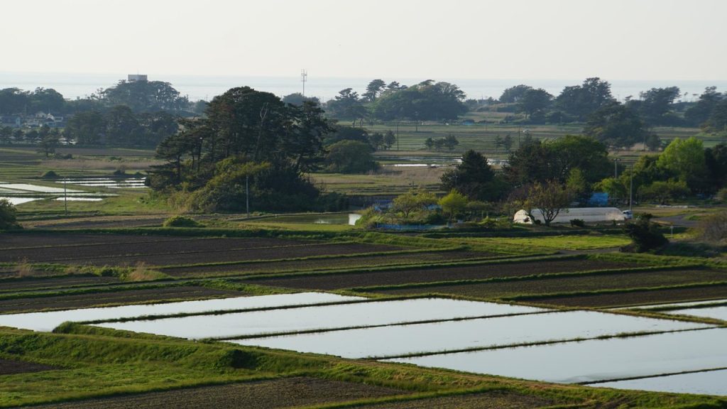 山体崩壊がもたらす流れ山地形