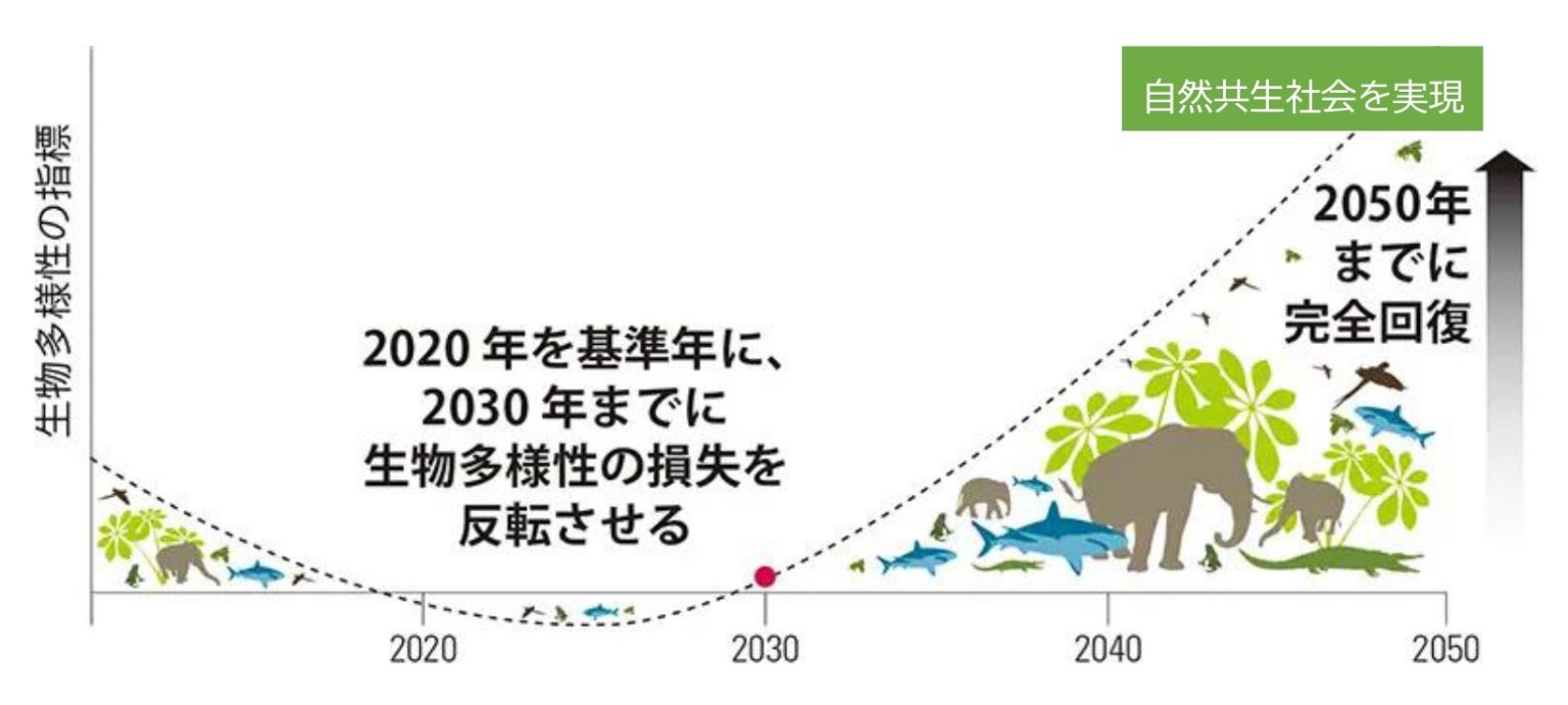 生物多様性の回復イメージ