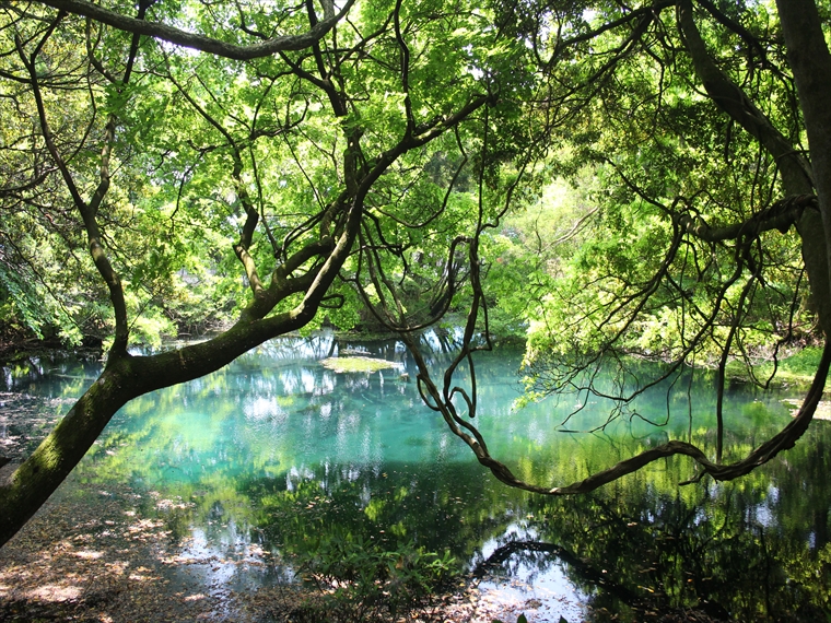 山形県 エメラルドグリーンに輝く丸池様