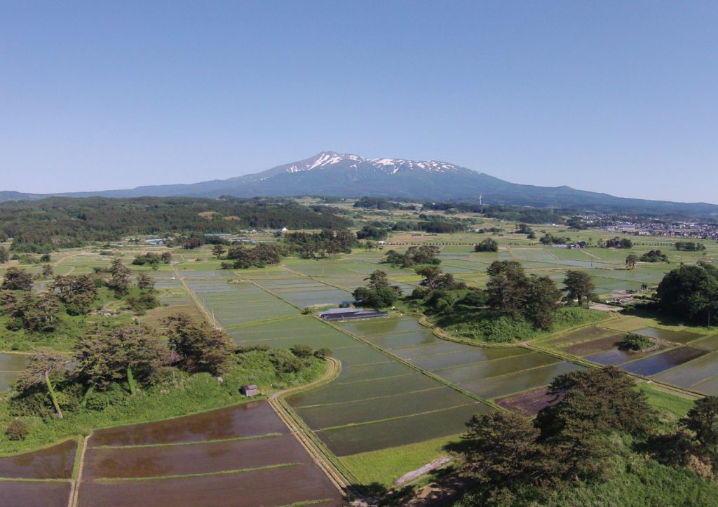 田んぼの中に点在する九十九島（にかほ市）