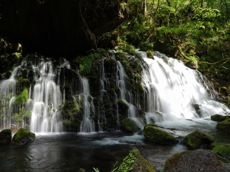 コケに覆われた幻想的な景観が楽しめる元滝伏流水（秋田県）