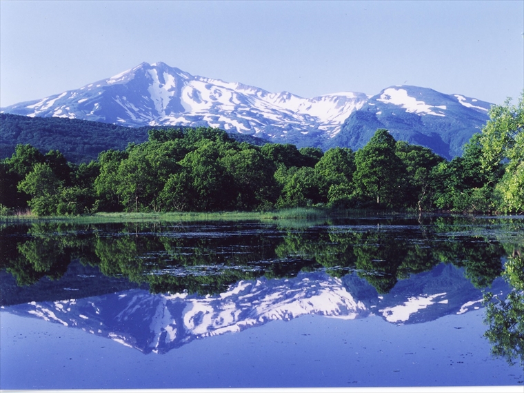 日本の重要湿原５００にも登録された冬師湿原