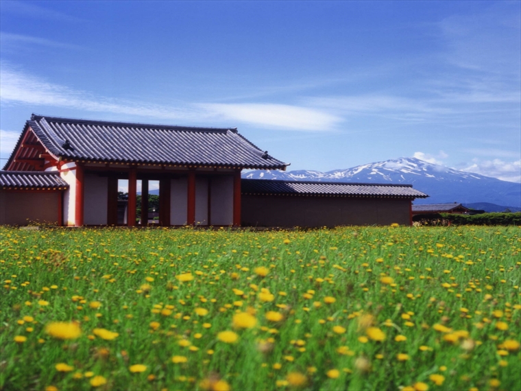 歴史公園として親しまれている城輪柵跡