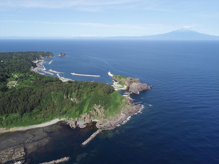 柏木山は酒田市の天然記念物