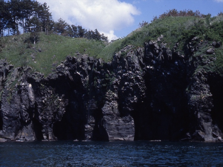 海から望む断崖