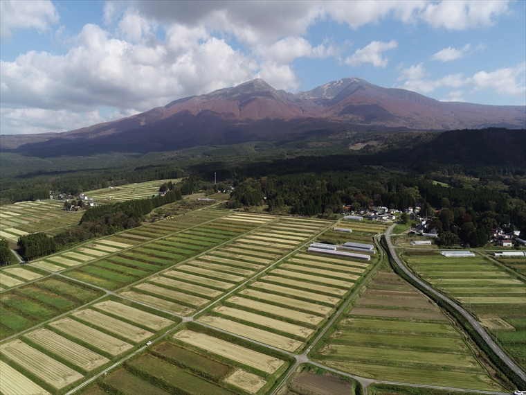1800年より開発された農地の白井新田の学田と堰