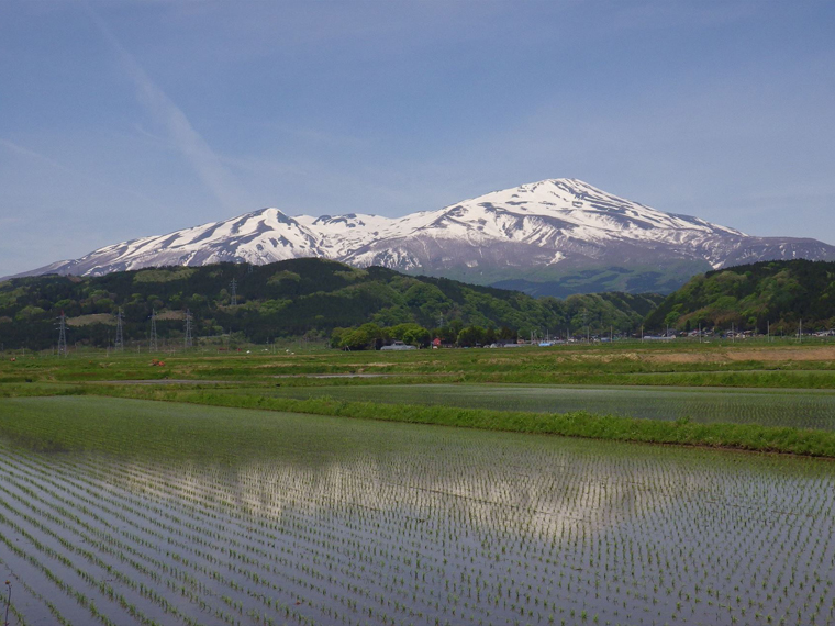 庄内から見た鳥海山と裾野に広がる美しい水田の風景
