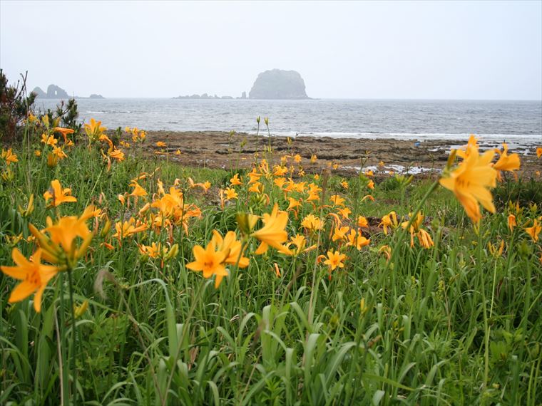 日本の渚百選に選ばれた荒崎海岸【飛島】