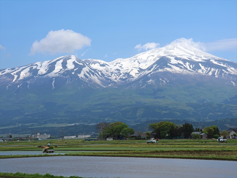 田植えする風景と背景には残雪の残る鳥海山の風景