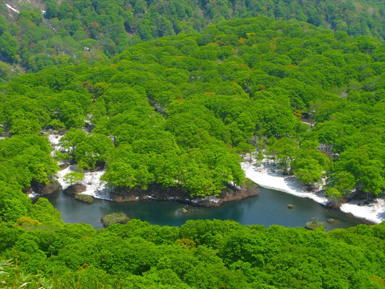 自然豊かな緑に囲まれている鶴間池【山形県】