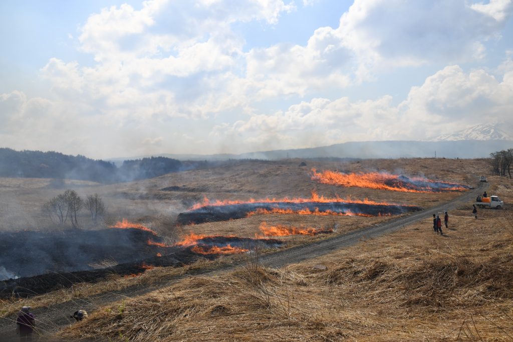 冬師湿原の春の野焼き