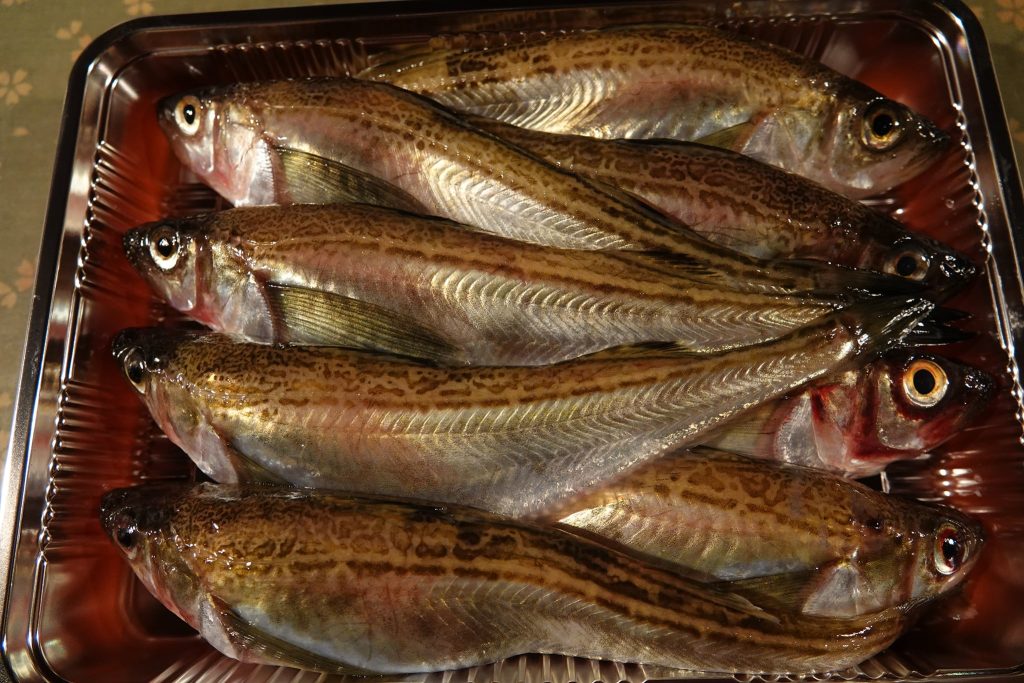 冬の名物・ハタハタ