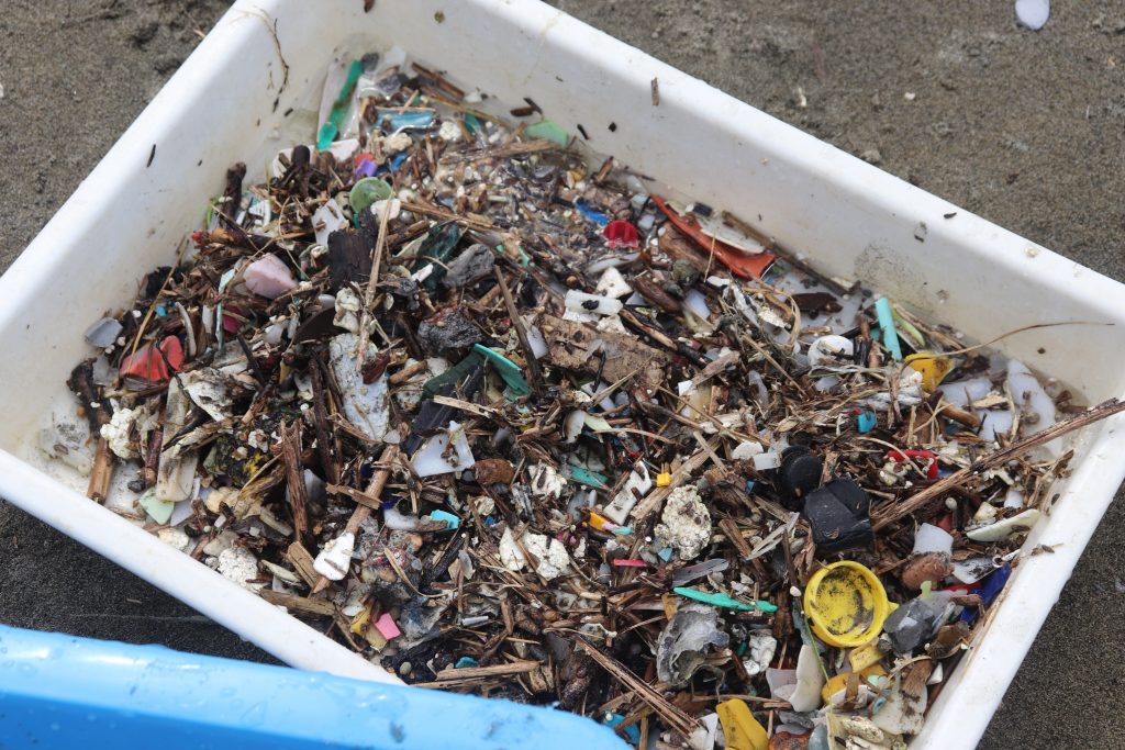 今回集まった小さいプラスチックごみ