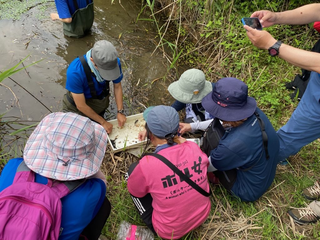 ため池を利用したフィールドワーク中の様子