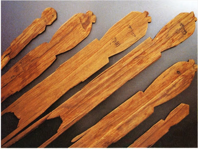 リレーコラム写真②_R