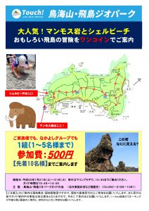 ワンコインチラシ飛島_01